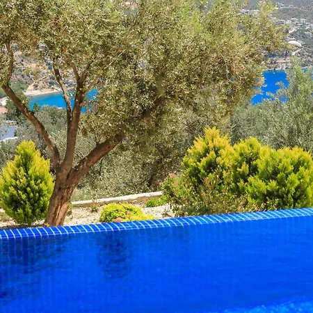 Panorama View