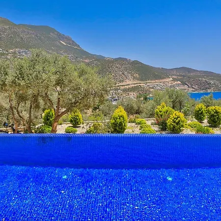 Panorama View Villa *